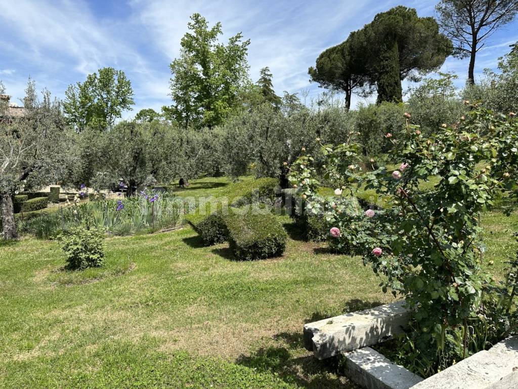 giardino