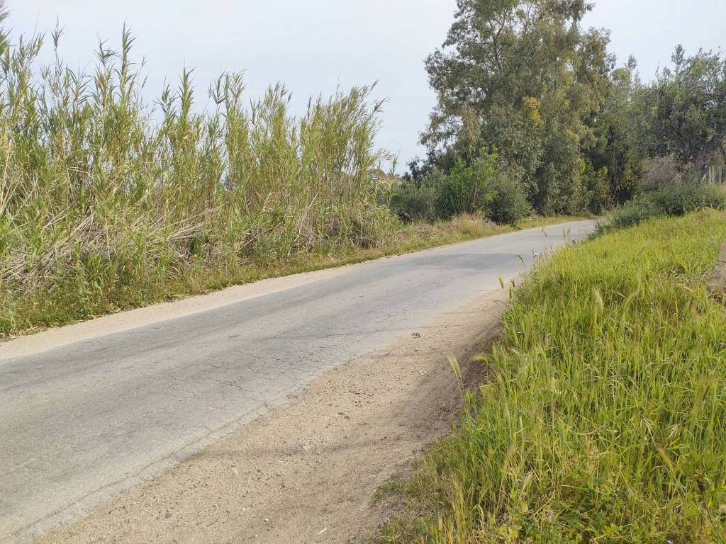 Terreno agricolo strada provinciale di calatubo, partinico