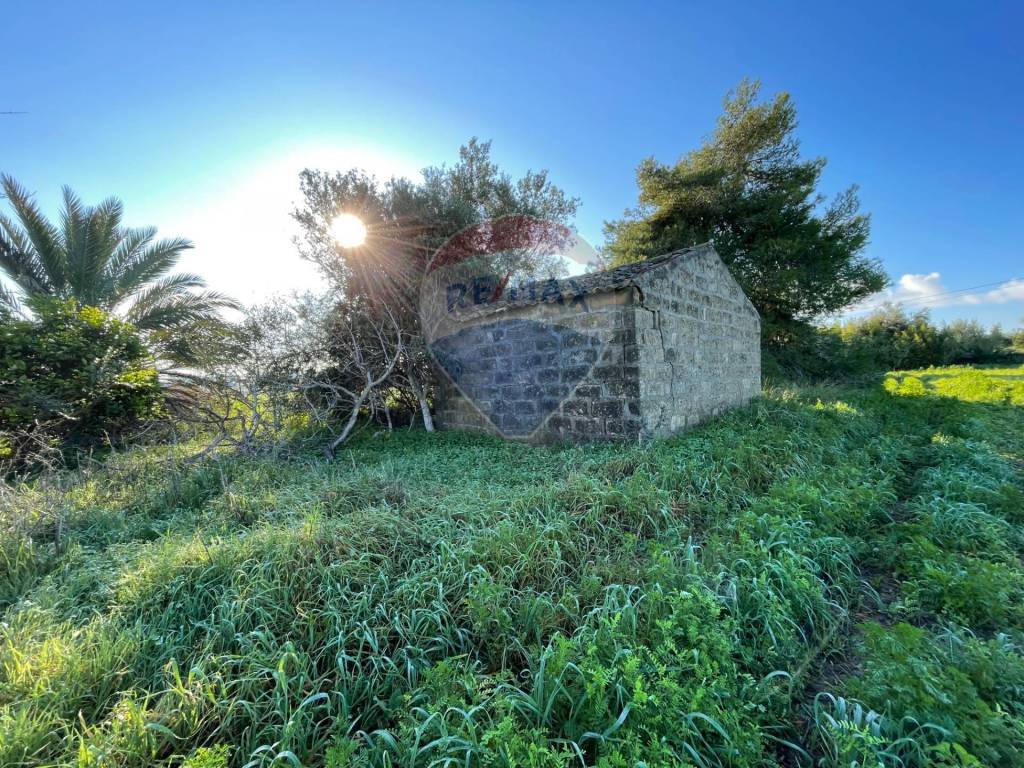 Terreno agricolo strada provinciale 26, noto