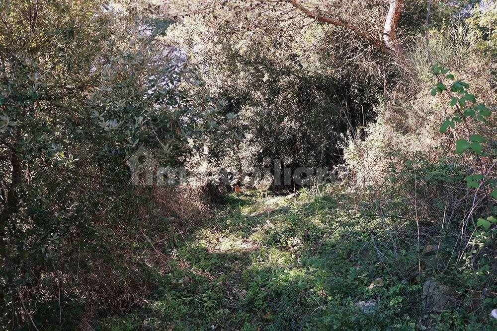 San Remo-Liguria-villa-for-sale-le-46000-114