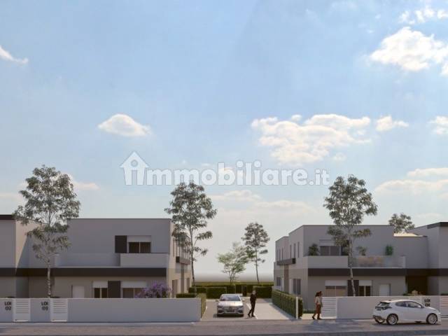 Loi render 7 mattina