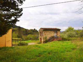 Settignano vendesi colonica da ristrutturare