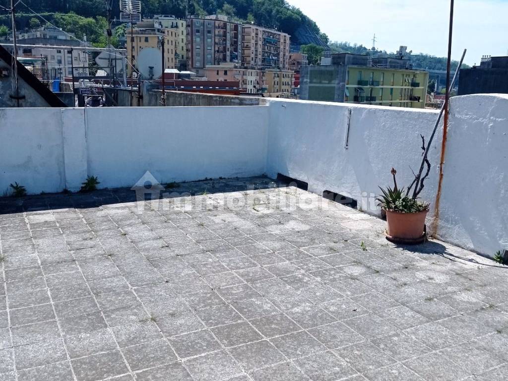 terrazza