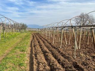 Lotto 2 con tendone