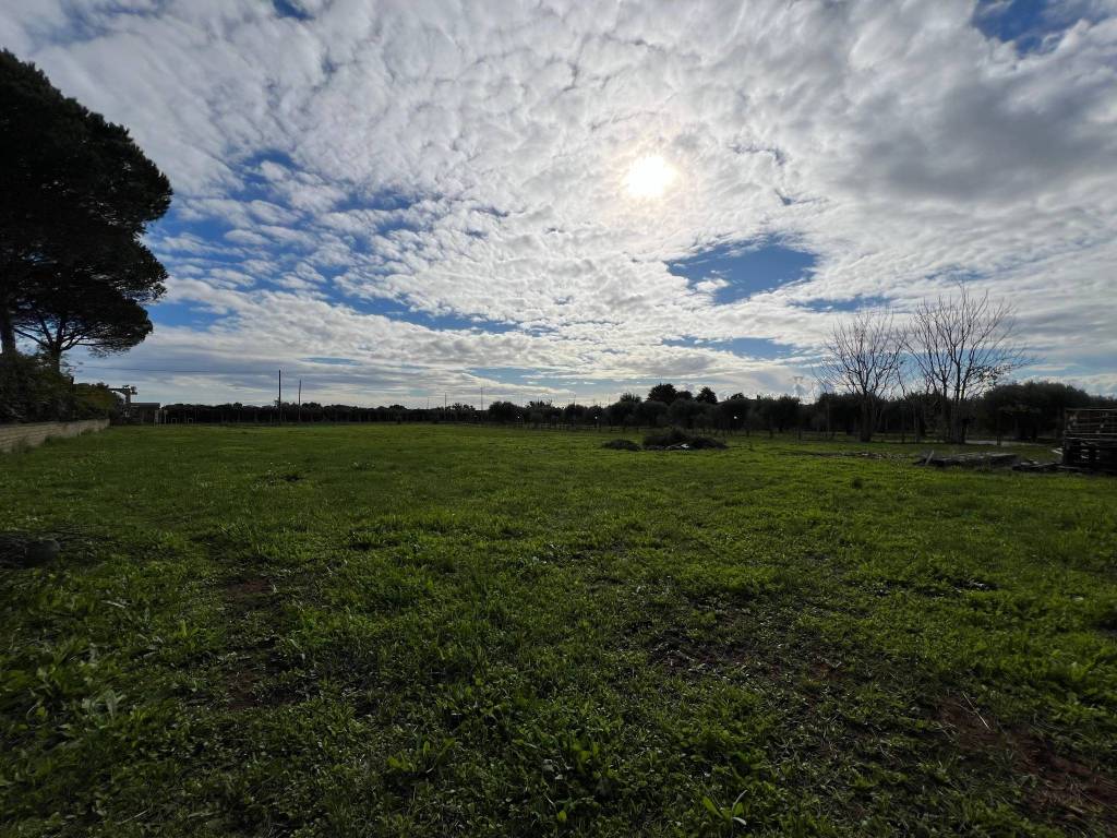 Terreno agricolo via del sughereto, santa palomba, pomezia