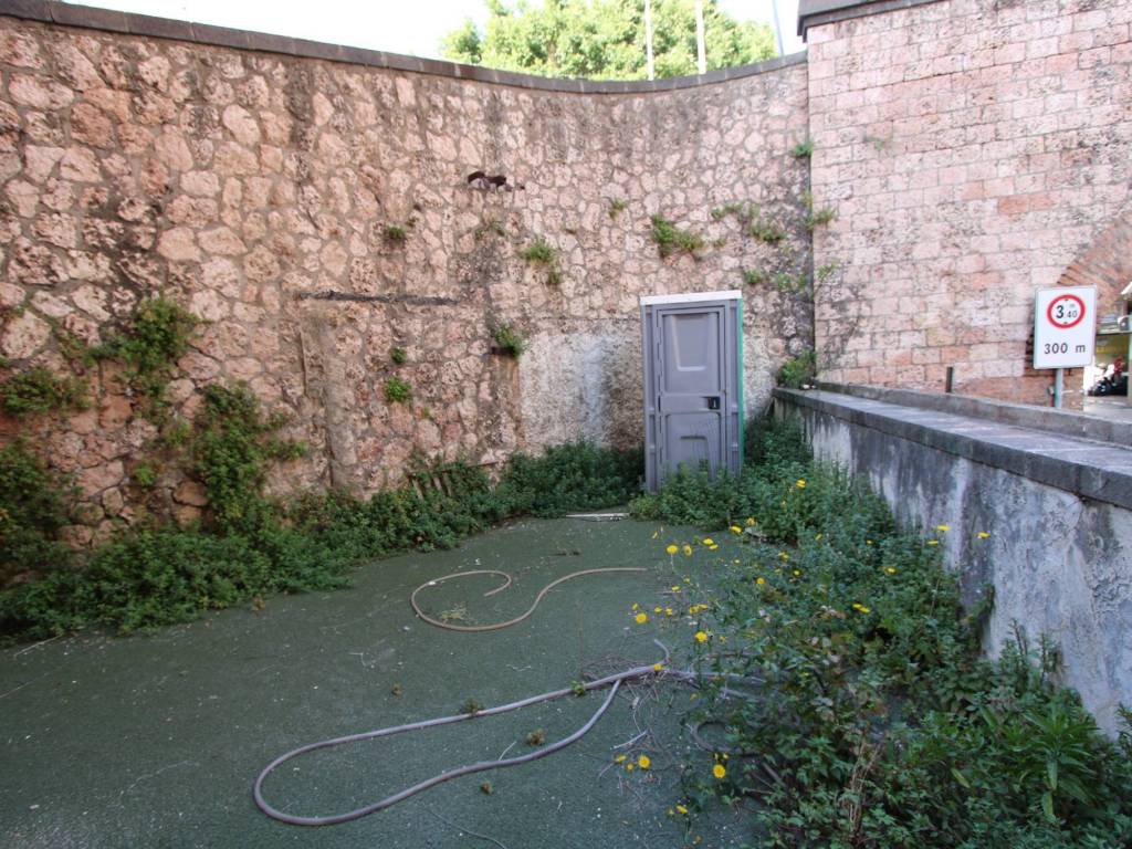 giardino