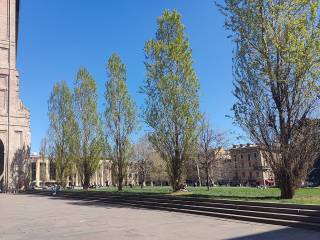 PIAZZA DELLA PACE