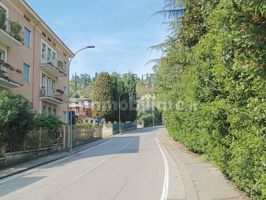 VIALE DEI COLLI