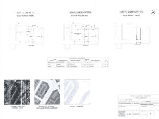 ELABORATO PLANIMETRICO