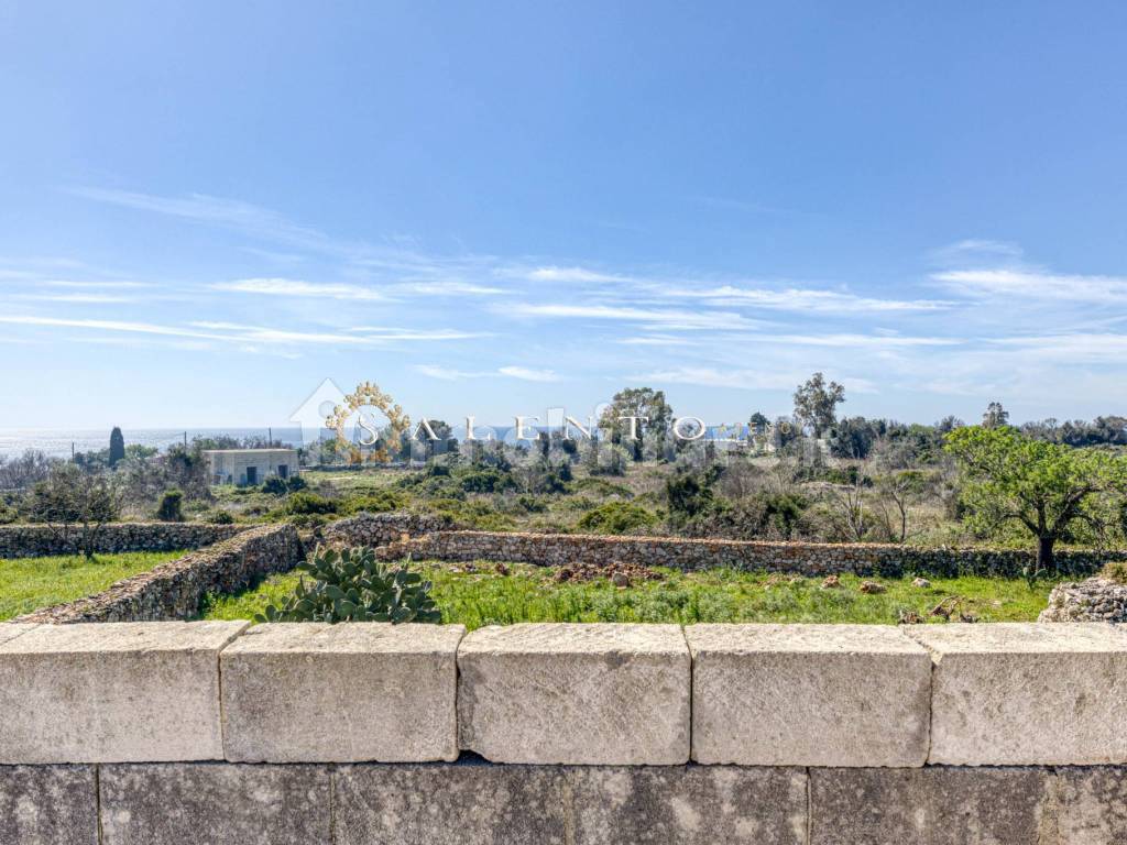 Vista dalla terrazza