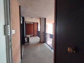 INGRESSO