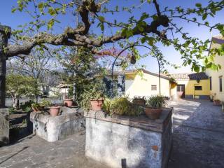 Foto - Vendita casa, giardino, Giarre, Costa Ionica Catanese