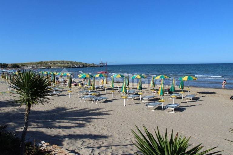 spiaggia di molinella