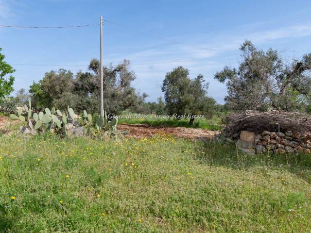 Villa Ostuni