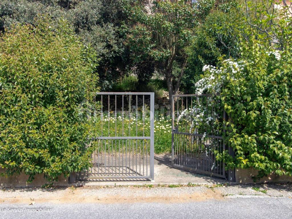 giardino