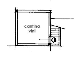 cantina vini