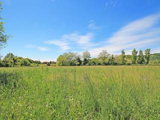 Terreno agricolo