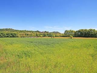 Terreno agricolo