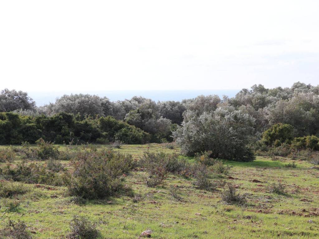 Giardino/Terreno