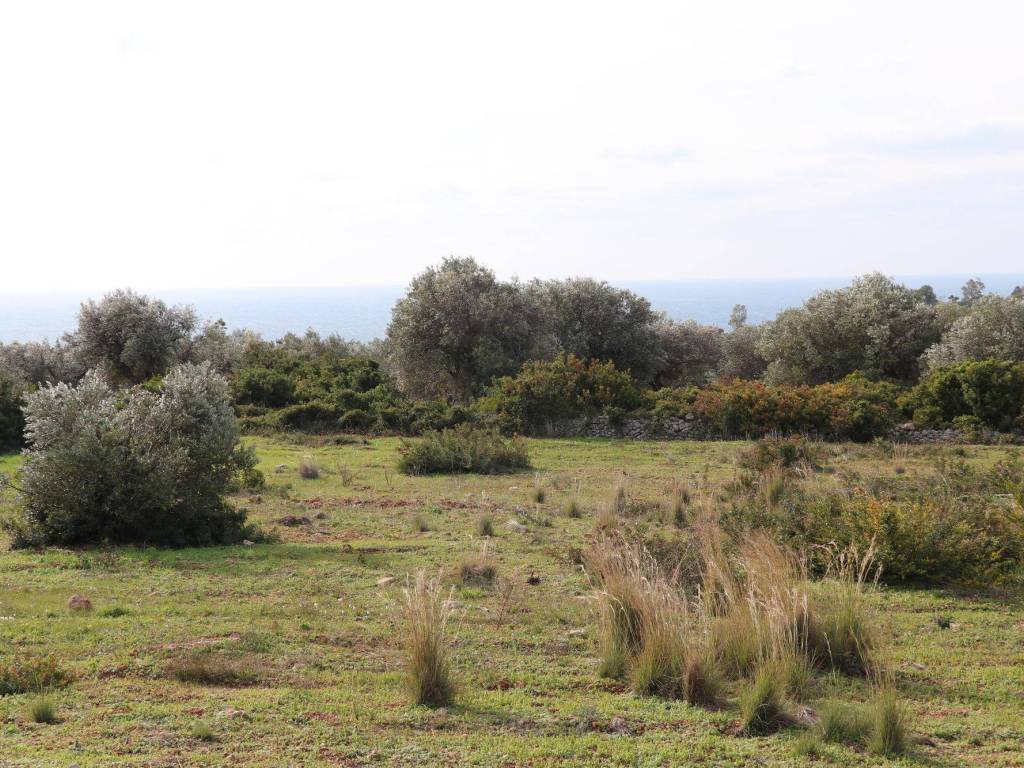 Giardino/Terreno