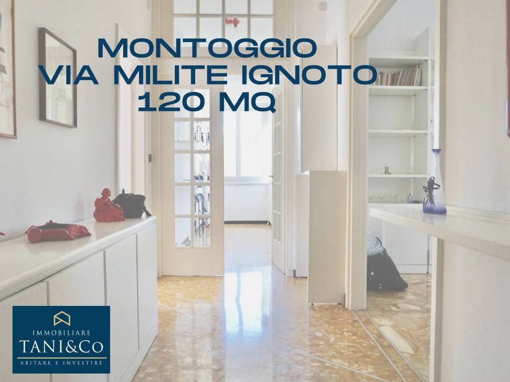 MONTOGGIO.png