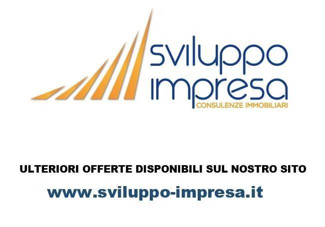 sviluppo impresa