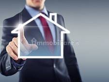 agente immobiliare   copia