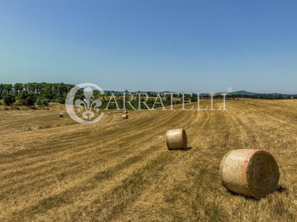 Azienda Agricola con Resort nella Maremma Toscana