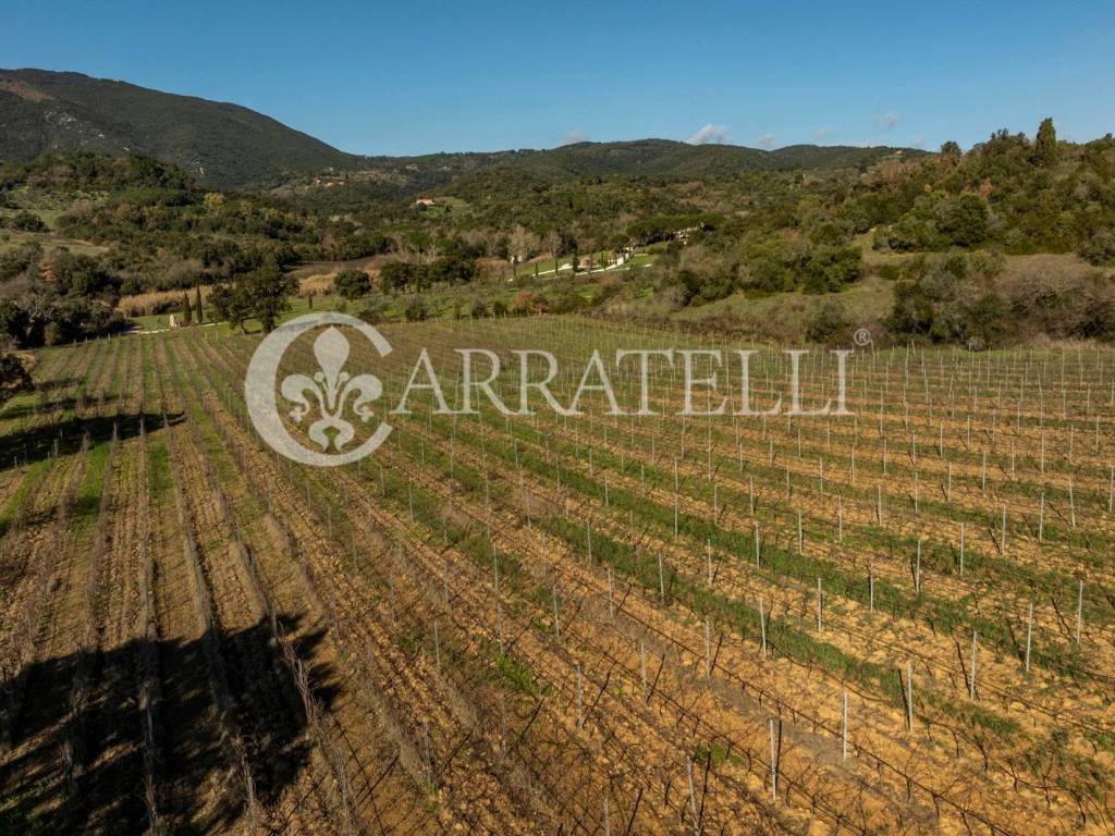 Esclusivo Casale con terreno a Suvereto