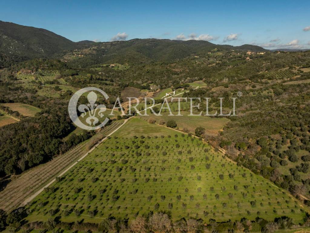 Esclusivo Casale con terreno a Suvereto