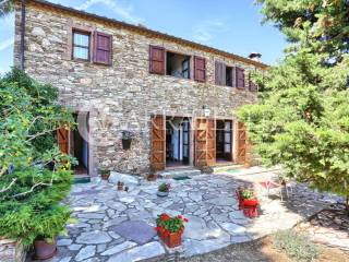 Casale panoramico con azienda agricola a Suvereto