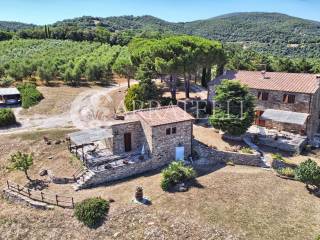 Casale panoramico con azienda agricola a Suvereto