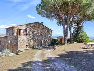 Casale panoramico con azienda agricola a Suvereto