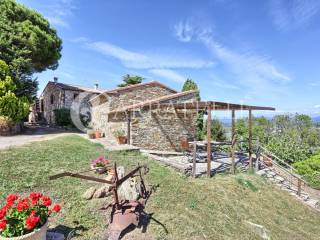 Casale panoramico con azienda agricola a Suvereto