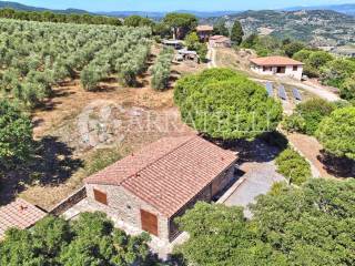 Casale panoramico con azienda agricola a Suvereto