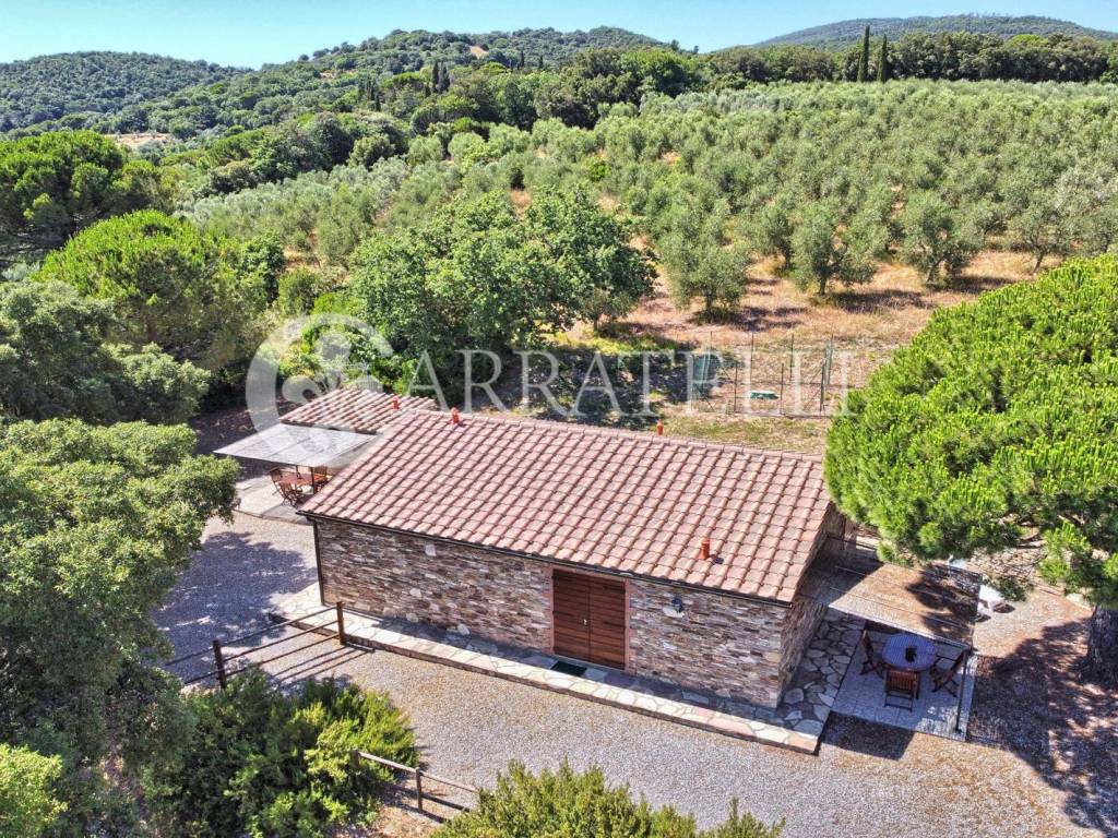 Casale panoramico con azienda agricola a Suvereto