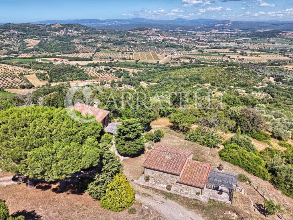 Casale panoramico con azienda agricola a Suvereto