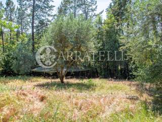 Elegante villa in stile unico con grande giardino 