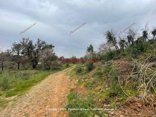 Foto - Vendita villa con giardino, Gratteri, Costa Tirrenica Siciliana