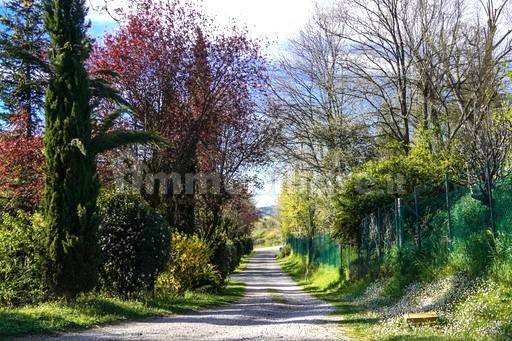 Viale d'ingresso