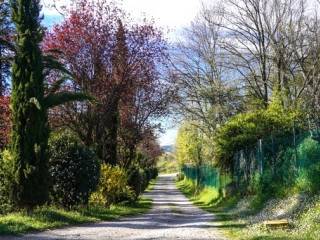 Viale d'ingresso