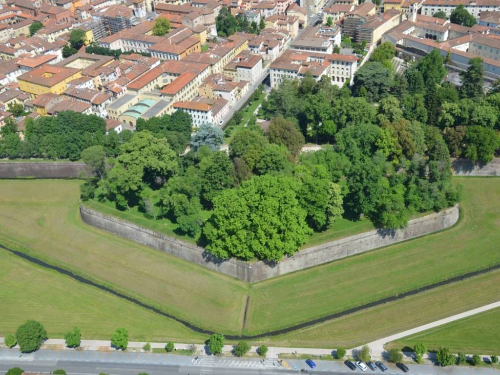 Lucca