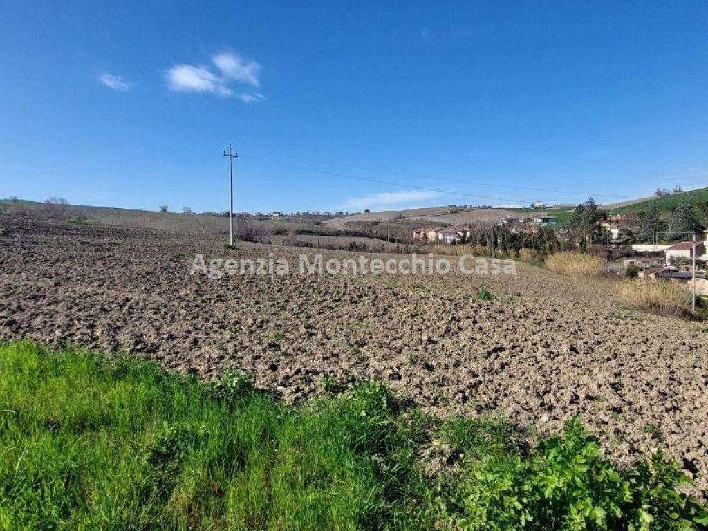 il terreno agricolo