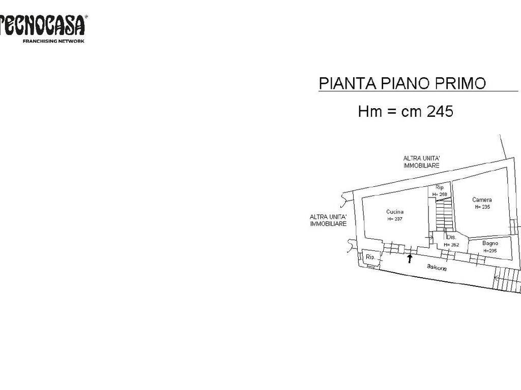 plm primo piano loggata