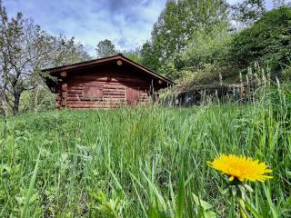 Foto - Si vende Bilocale con terrazzo, Valtellina, Albosaggia