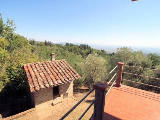 vista dalla terrazza