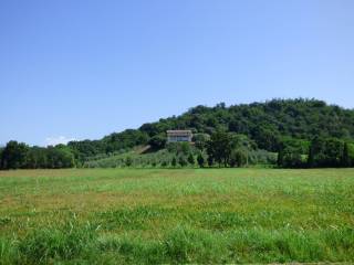 COLLINA