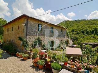 FARMHOUSE - Gaiole in Chianti