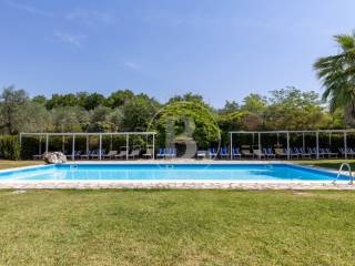 San Gimignano, azienda agrituristica con piscina,