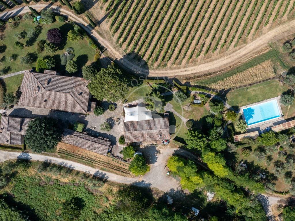 San Gimignano, azienda agrituristica con piscina,